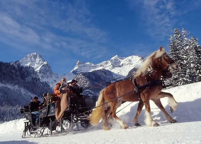 Dormio Lägenhetshotell Hinterstoder