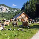 Dormio 4*